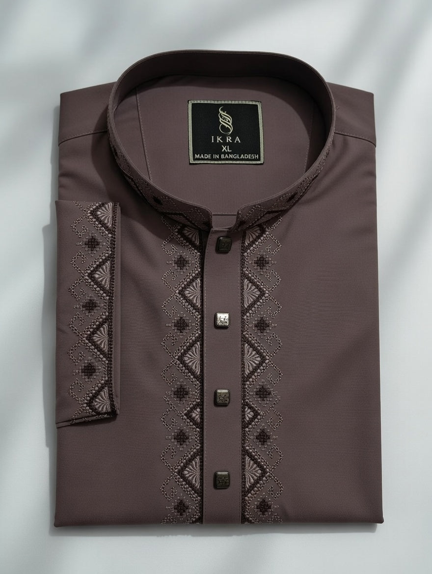 Embroidered Panjabi - dark purple